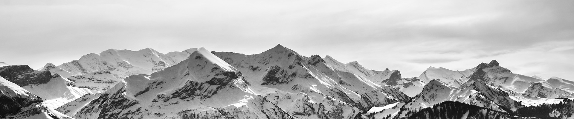 ���Ҹ�����|�X���������޹�˾